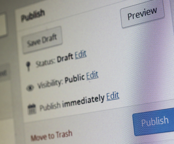 WordPress More than just that pre-built theme!